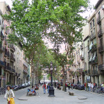 Passeig del Born